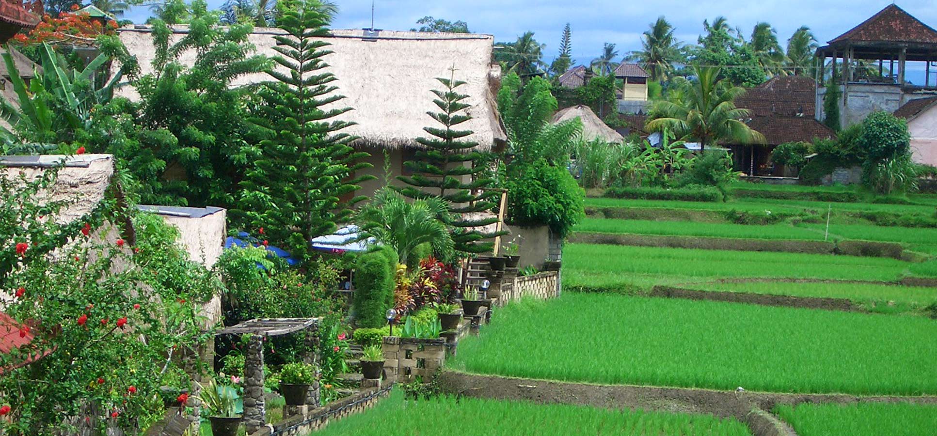 Travel reviews Bali