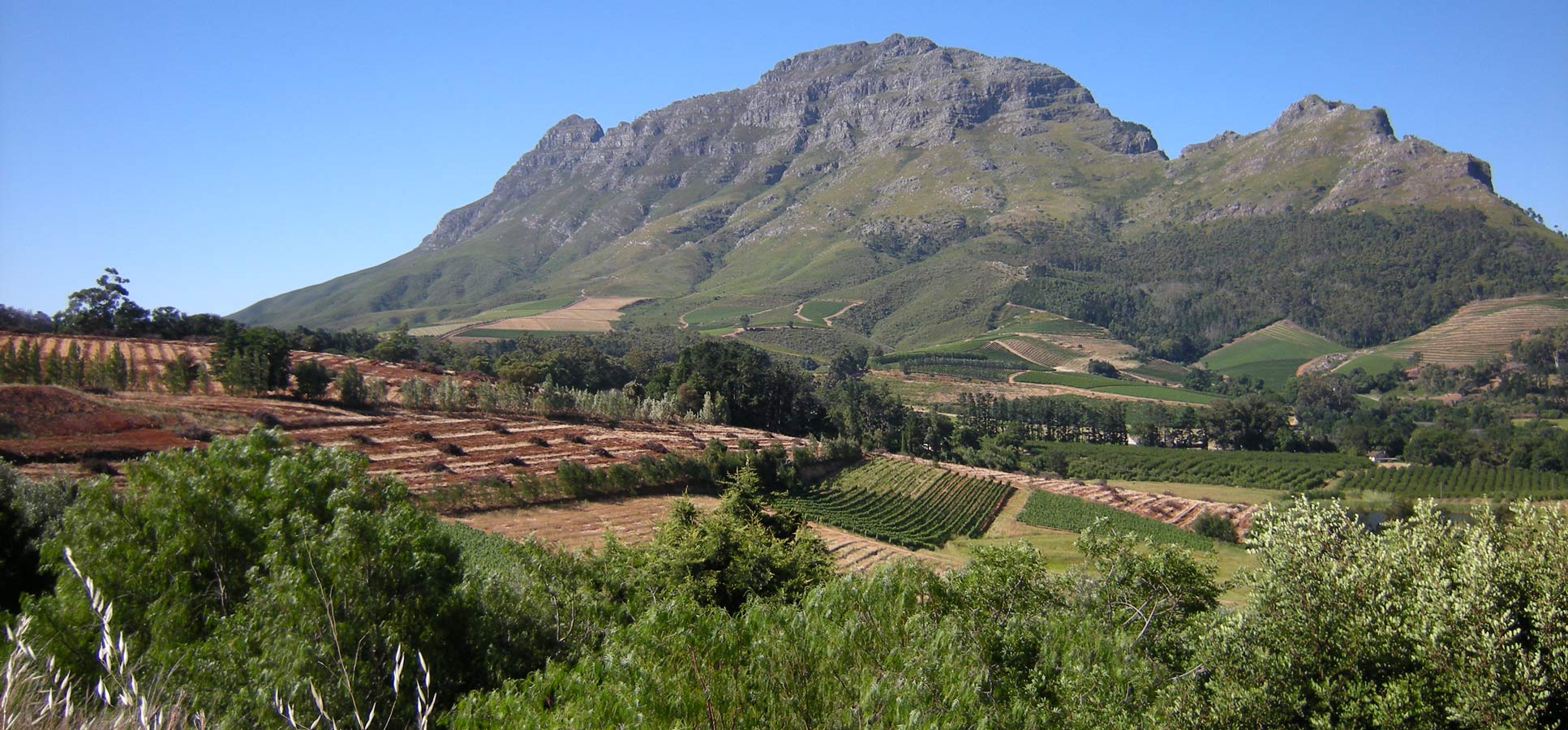 Travel reviews Franschhoek South Africa